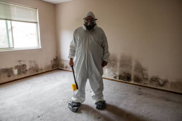 Mold Remediation for Rental Properties in Titusville, PA